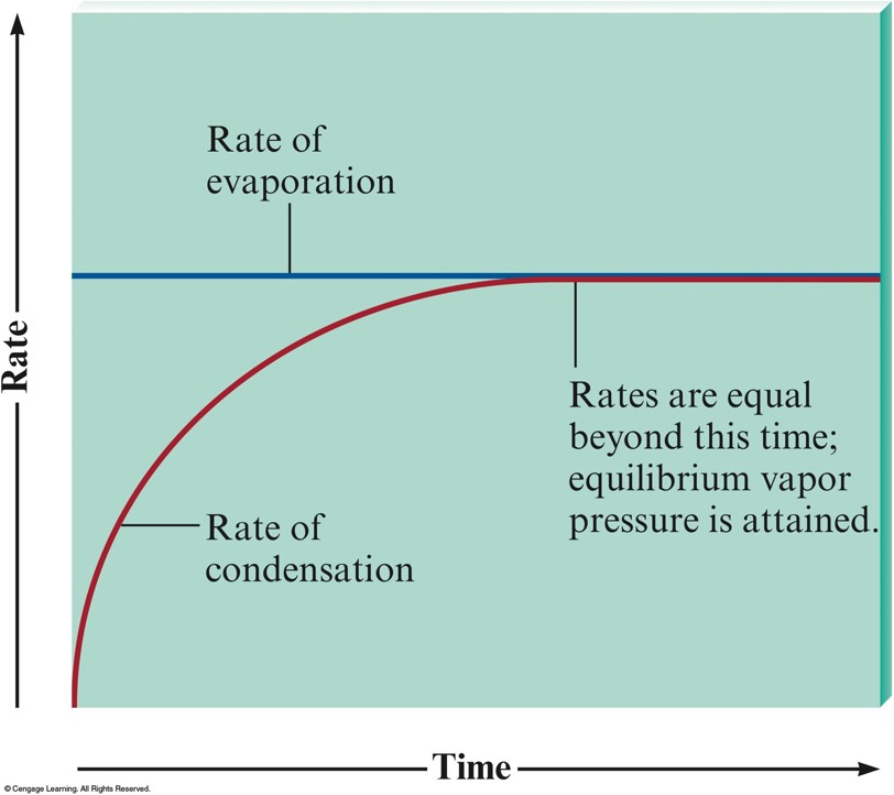 A graph of the system described on the last slide. There is a constant rate of evaporation. At first the rate of condensation is zero. As time goes on, the rate of condensation increases until the two rates are the same.