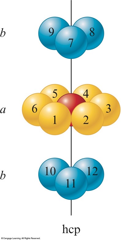 Each atom in hexagonal closest packing (hcp) has six neightbors in its layer, three neighbords in the layer above, and three neighbords in the layer below. This gives us a total of 12 nearest neighbords in hcp.