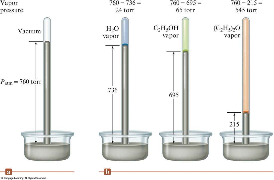 Measuring vapor press involves modifying a barometer so that instead of a vacuum above the mercury in the glass tube, you have the solution you are measure. You measure the difference between atmospheric pressure and that shown in these modified barometers.