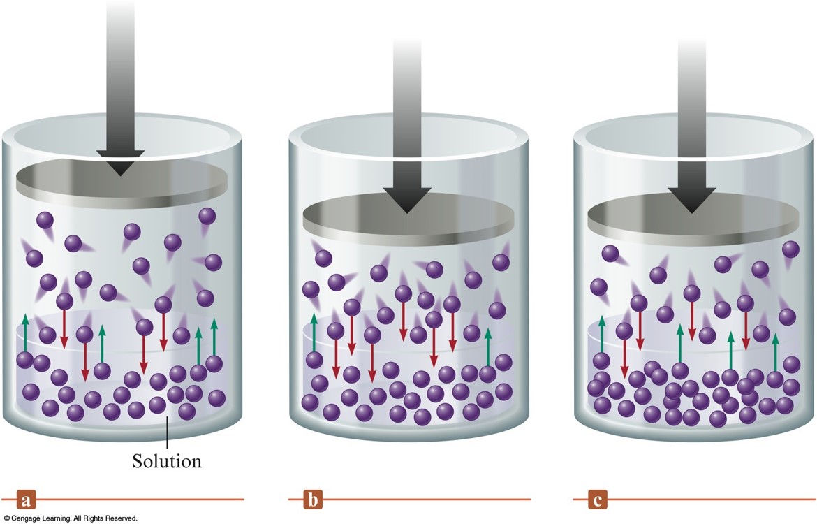As the pressure on a gas above a liquid increases, more gas particles are forced to dissolve into the liquid.