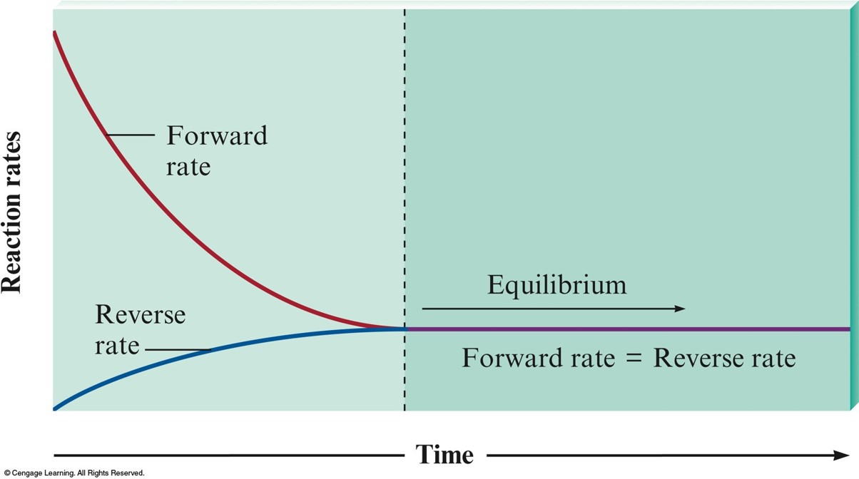 The rate of the forward reaction exponentially falls as the reactants get used up. The rate of the reverse reaction exponentially rises as products are produced. Evertually these rates have the same value (and from the time on) which is the time that the equilibrium is established.