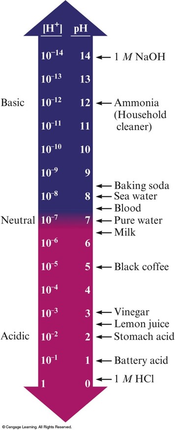 A scale showing 1 M HCl at a pH of 1 up to 1 M NaOH at a pH of 14.