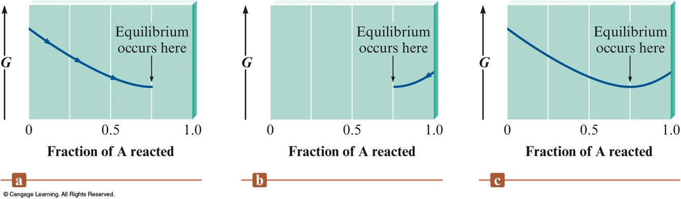 Regardless of what fraction of reactant A you start with, the reaction will progress either forward or backward until an equilibrium is established.