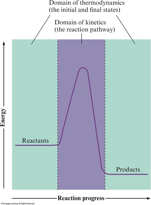 The energies of the reactants and products constitutes the thermodynamics domain. The energy profile from reactant to product constitutes the kinetic domain.
