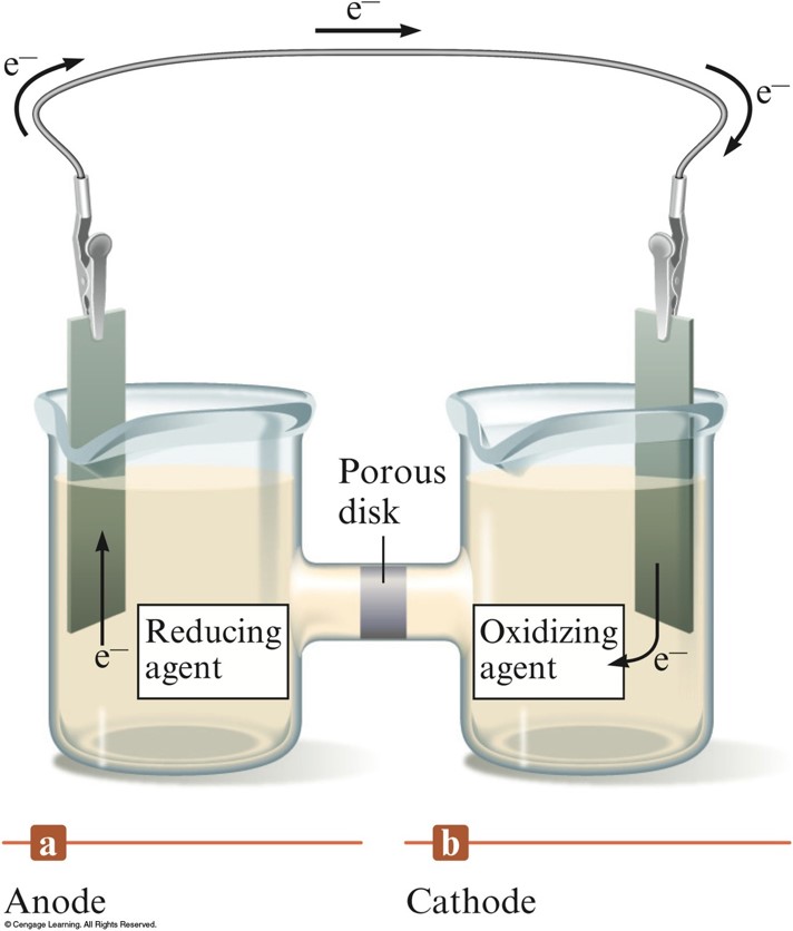 Oxidation is occuring at the anode in the presence of the reducing agent. Reduction is occuring at the cathode in the presence of the oxidizing agent. A wire connects the anode and cathode. Additionally the two chambers of the galvanic cell as connected through a porous disk.
