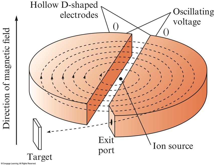 Diagram of a cyclotron. Two hollow D-shaped electrode forming a circle with a gap between them. This arrangement in placed in a vertical magnetic field. Introduction of ions at the center while oscillating the voltage on two D-shaped electrodes. The ions accelerate in an ever widening circular path outward from the center to an exit port. Outside the exit port is either a target or collection container for the ions.