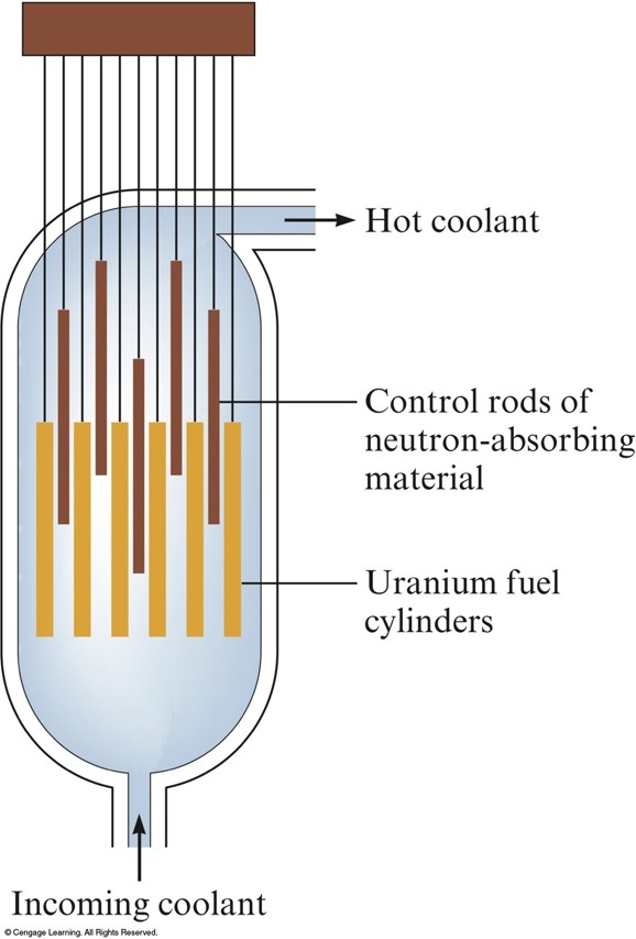Within the reactor core are uranium fuel rods. Between the fuel rods are neutron-absorbing control rods that can be inserted or withdrawn from the core. Through the entire system, hot coolant is pumped.