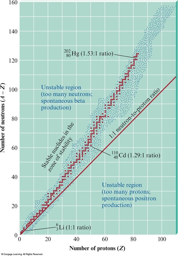 Plot of stable and unstable isotopes. When the isotope has less than twenty protons, the isotope is stable when the ratio of protons to neutrons is about 1:1. As the number of protons get a lot higher, more neutrons are needed per proton to make the isotope stable.