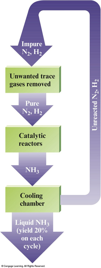 An impure mixture of hydrogen and nitrogen gas is cleaned to remove unwanted gases. The pure hydrogen and nitrogen gas mixture is sent into catalytic reactors which convert it to ammonia gas. The ammonia gas is sent to a cooling chamber. In the cooling chamber about 20% of the ammonia gas is converted to liquid. The rest is mixed which atmoshperic gases and sent back into the cycle along with any unreacted hydrogen and nitrogen gas from the catalytic reactors.