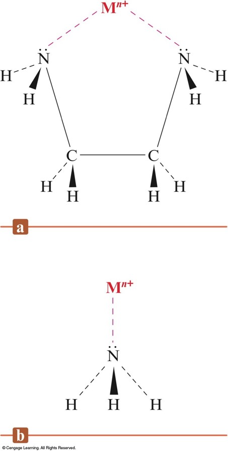 The size of the ethylenediamine molecule allows it to make two bonds to the metal atom. Ammonia is much smaller and can only make one bond to the metal atom. In both cases, the bonds are made between the nitrogren atoms and the metal atom.