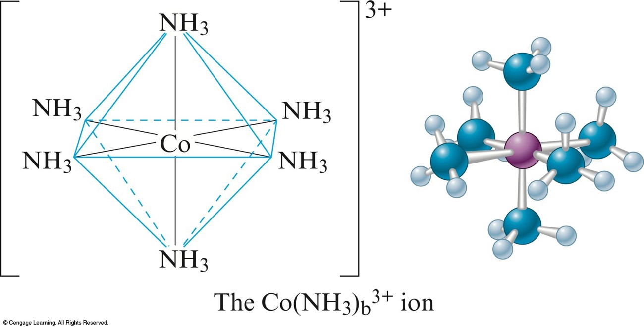 The arrangement of the octahedral complex ion formed by a central cobalt atom bound to six octahedrally arranged ammonia atoms.