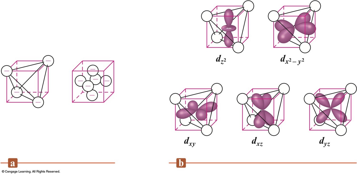 Showing the five d orbitals and their planes lining up with a tetrahedral arrangement.