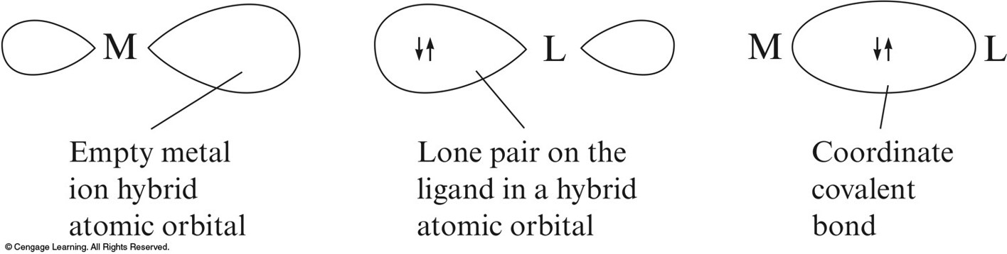 The metal atom has empty hybrid orbital that accepts electrons from a long pair on the ligand in order to make the convalent bond.