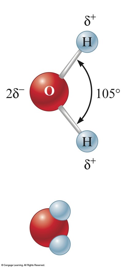 A graphical representation of a water molecule showing the two hydrogen atoms connected to an oxygen atom.