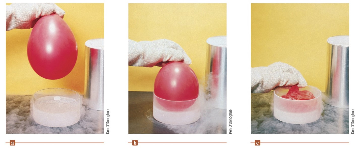 When an inflated balloon is placed in liquid nitrogen, the balloon shrinks (collapses).