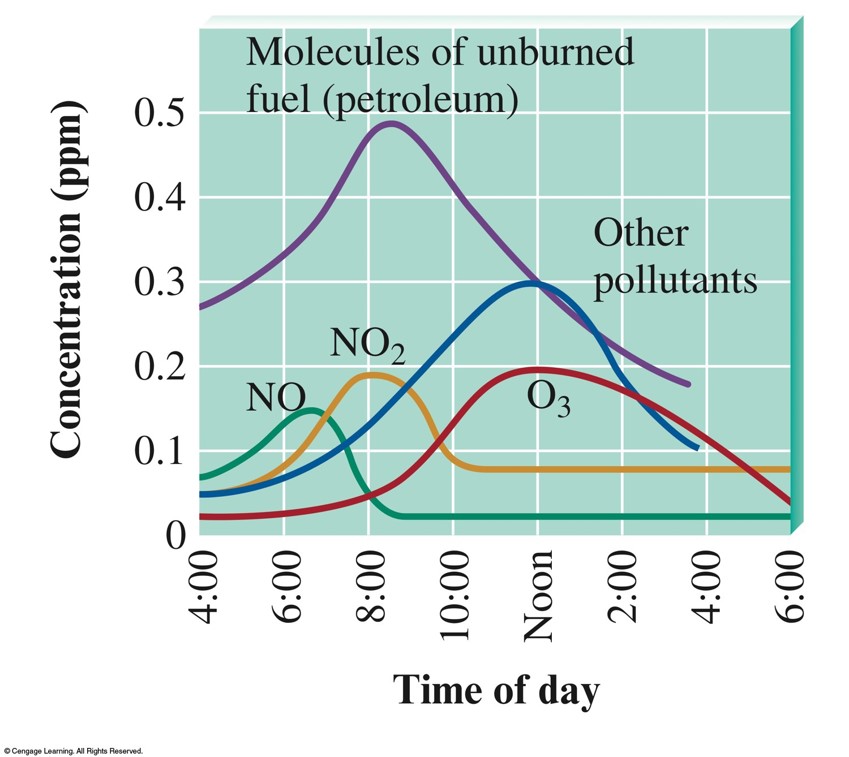 Early in the morning molecules of unburned fuel builds up as do NO and NO2 molecules. After sunrise, all of these begin to fall as the concentration of ozone and other pollutants begin to build.