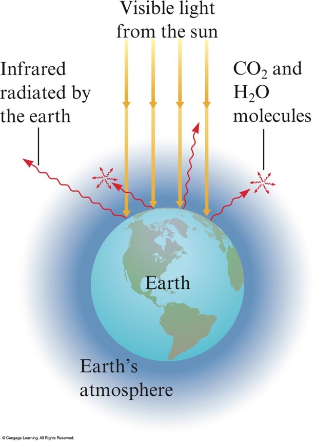Sumlight enters Earth's atmoshpere and strikes the surface heating the surface. The hot surface emits infrared radiation upward to cool itself. The infrared radiation should be able to leave the Earth's atmosphere. Carbon dioxide and water vapor absorb the infrared radiation and then reemit it. About 50% of that remission is directed downwards at the surface thereby effectively trapping that heat in the atmosphere.