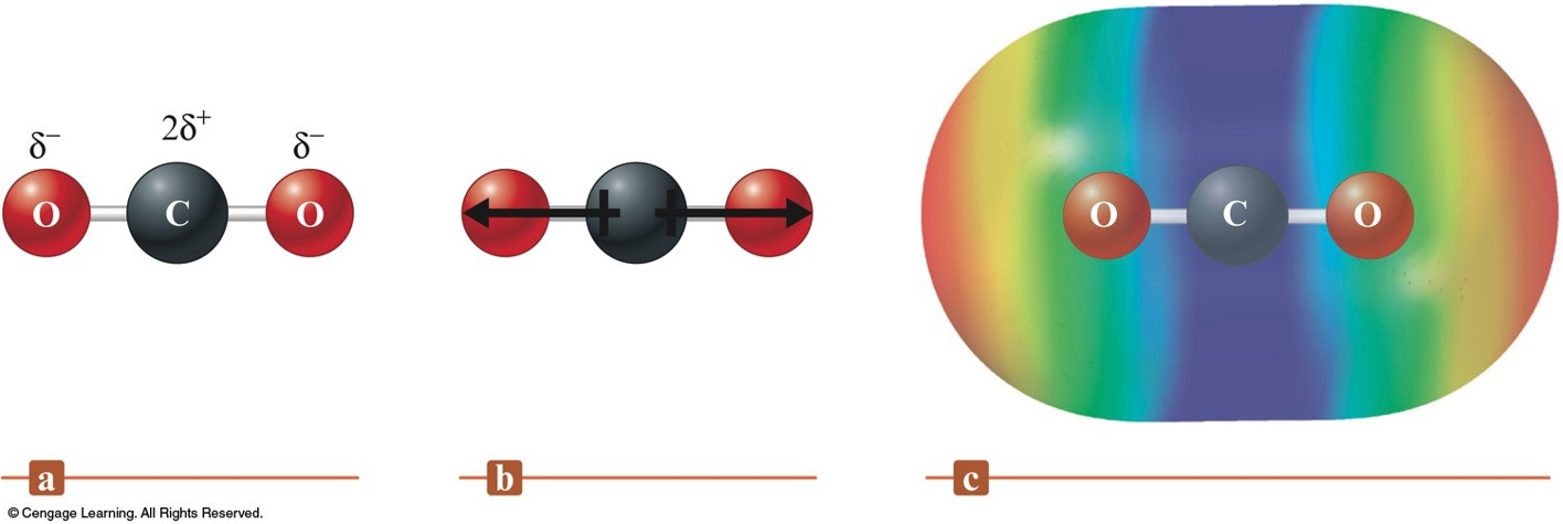 In carbon dioxide, the carbon atom is partially positive and the oxygen atoms are partially negative. Due to the geometry of the molecule, the pull of electrons towards the oxygen atoms cancel out so there is not net dipole moment.