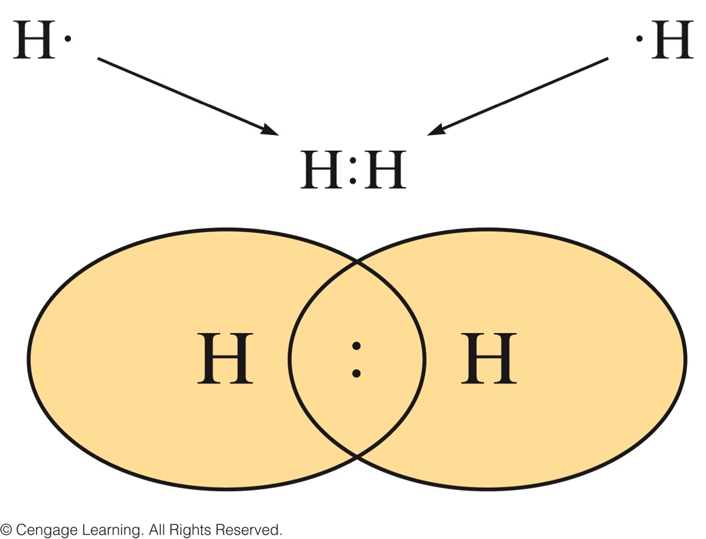 In the hydrogen molecules, the electron from each atom is shared, as a pair, by both atoms.