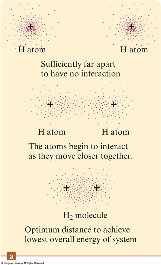 As two hydrogen atoms come close together, the electron cloud from each atom stretches out towards the other hydrogen atom. Eventually the electron clouds merge.