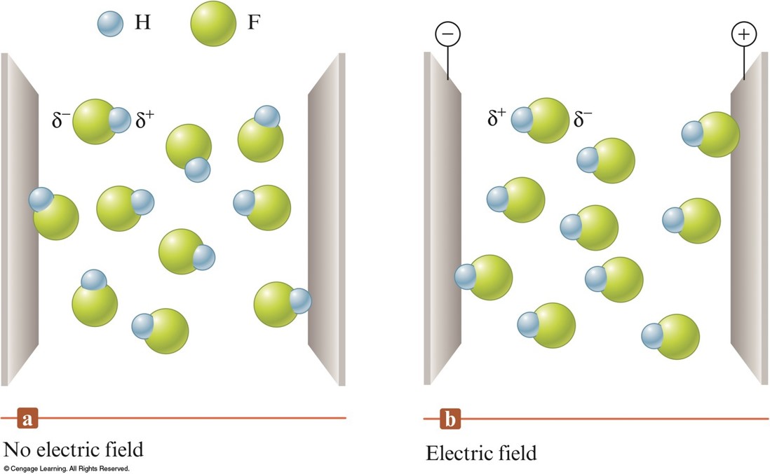 In the hydrogen fluoride molecule, the hydrogen atom is partially positive and the fluorine atom is partially negative. If the molecule is placed between metal plates, one charges postive and the other negative, the molecules will align since opposite charges attract.