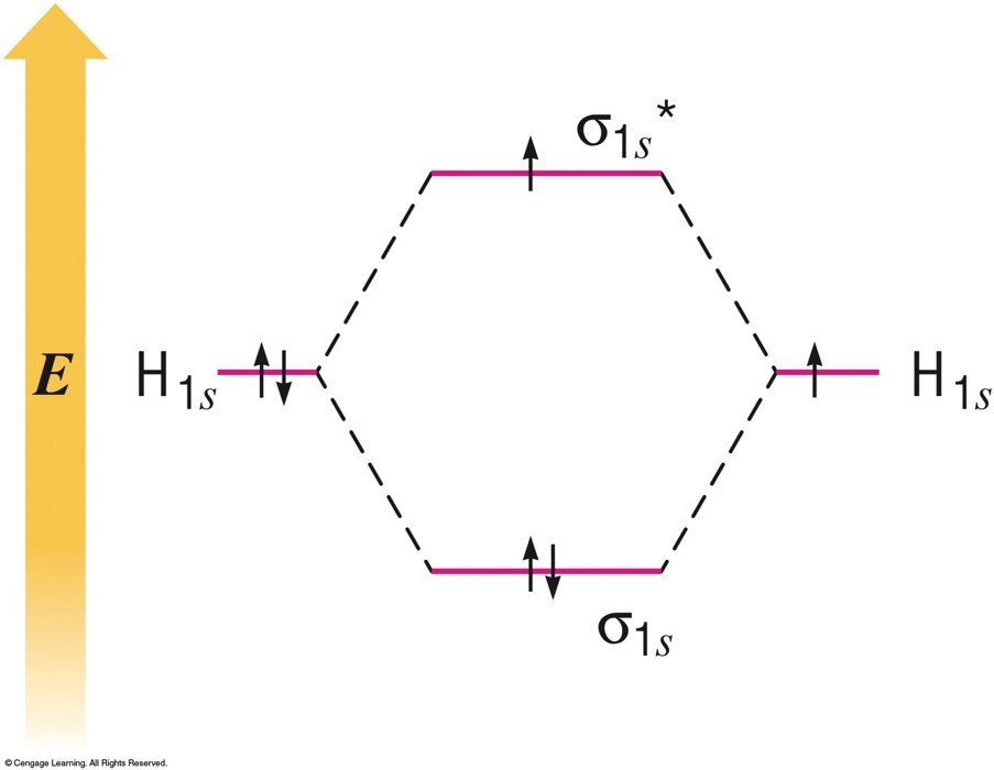 In the H2 negative 1 ion, two electrons are in the lower energy bonding orbital and one electron is in the higher energy antibonding orbital.