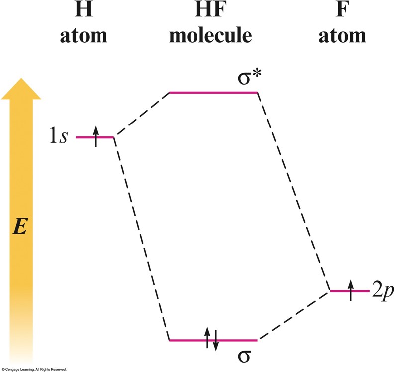 In the HF molecule, two electrons are in the lower energy bonding orbital and the higher energy antibonding orbital is empty.