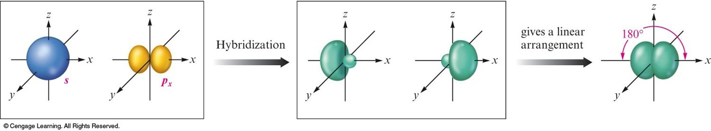A graphical representation of the one 2s and one 2p orbitals mix together to make two sp hybrid orbitals and two left over 2p orbitals.