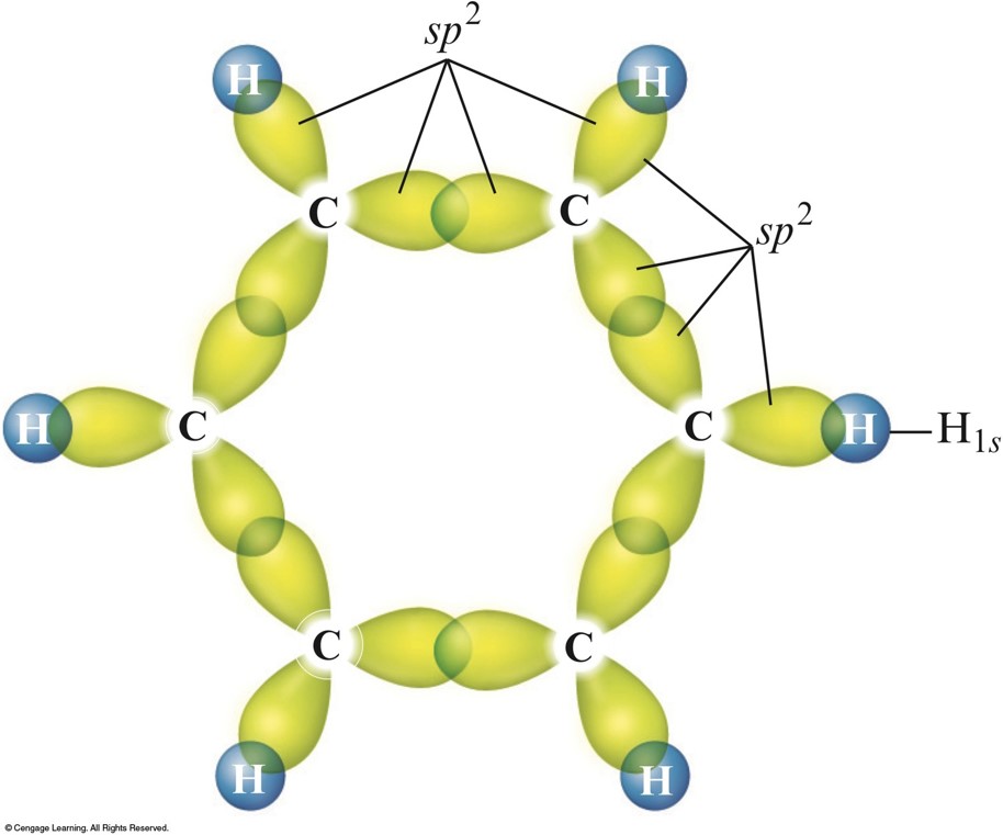 There is a sigma bond between each neighboring carbon atoms in the six membered carbon atom ring. There is also sigma bonds to the hydrogen atoms.