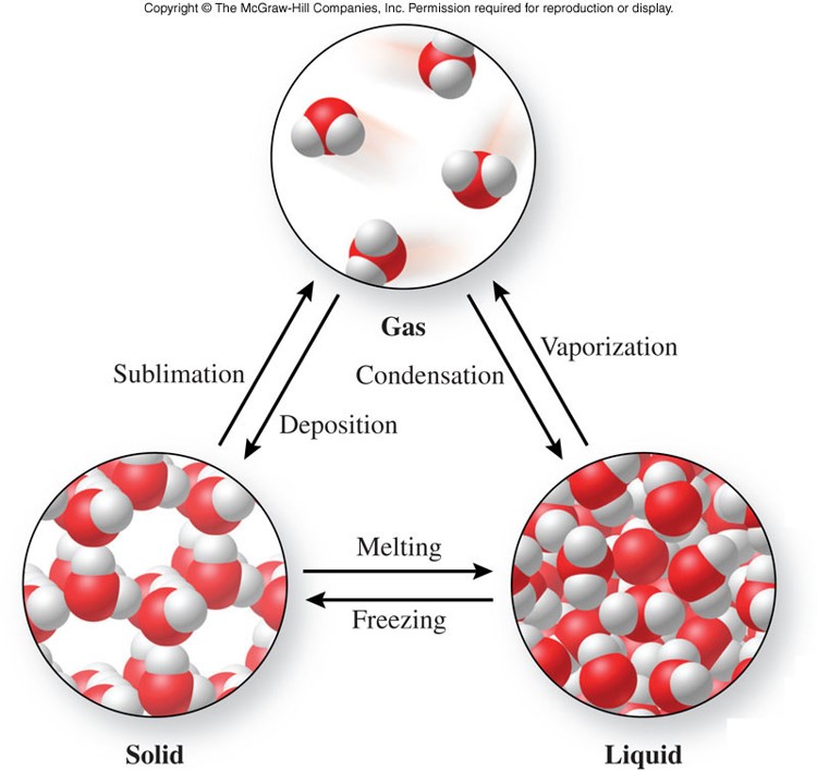 Changing States Of Matter Solid Liquid And Gas Phase Change My XXX