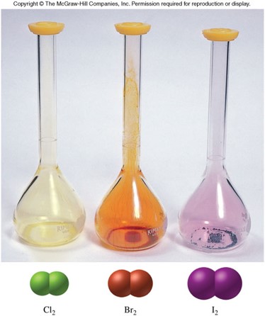 A photo showing the yellowing chlorine gas, reddish-brown bromine liquid, and purple iodine crystals.