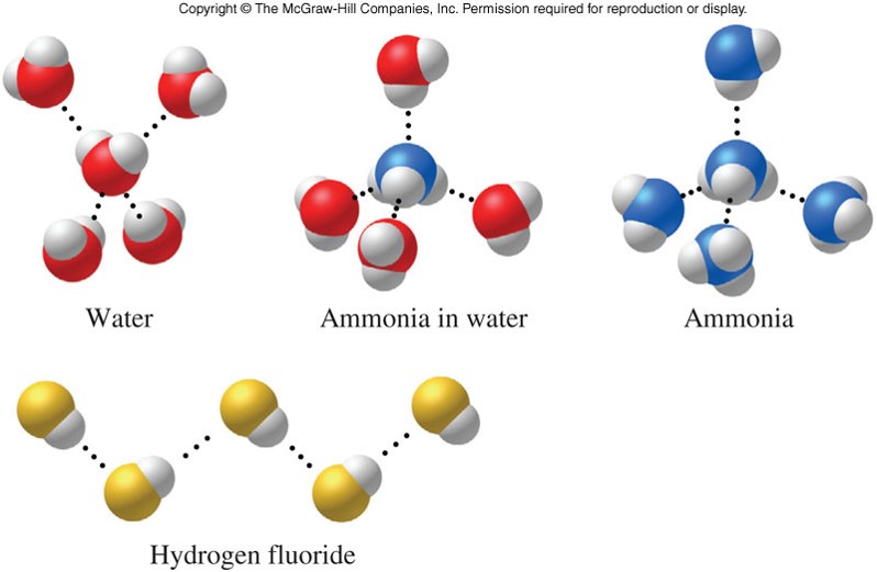 Images of hydrogen bonding in water, ammonia in water, ammonia by itself, and hydrogen fluoride.