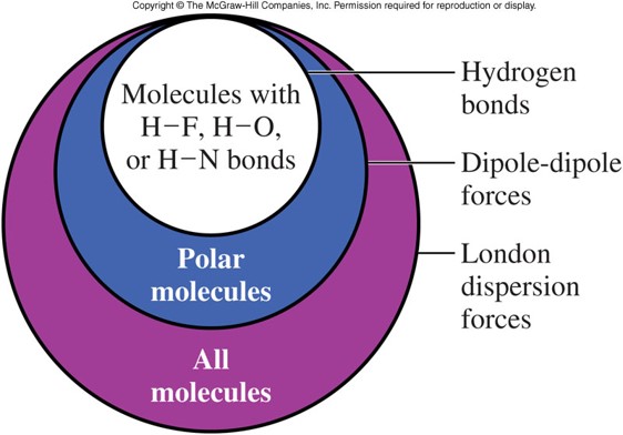 All molecules have London Dispersion Forces, polar molecules have dipole-dipole forces, and polar molecules with HF, HO, or HN bonds have hydrogen bonding.