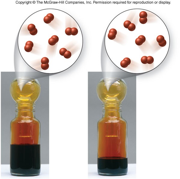 Pictures of two sealed vials containing different volumes of liquid bromine. In both containers, the color and therefore amount of bromine vapor is the same.
