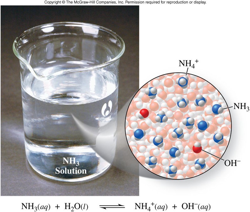 A picture of ammonia in water with very few of the ammonia molecules existing as ammonium ions.