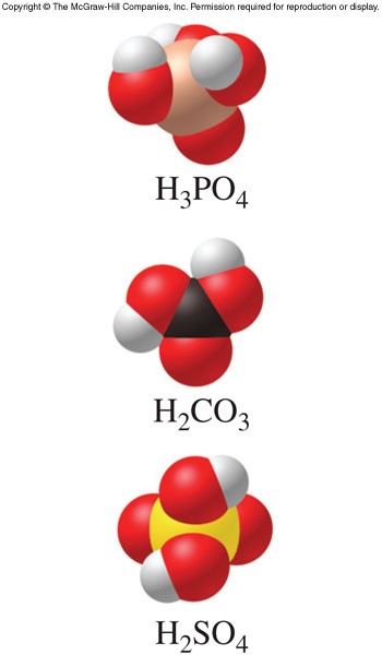 Images of phosphoric acid, carbonic acid, and sulfuric acid.