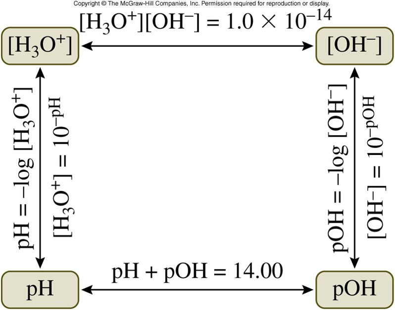 A graphical representation of converting between pH, pOH, the concentration of hydronium ion, and the concentration of hydroxide ions.