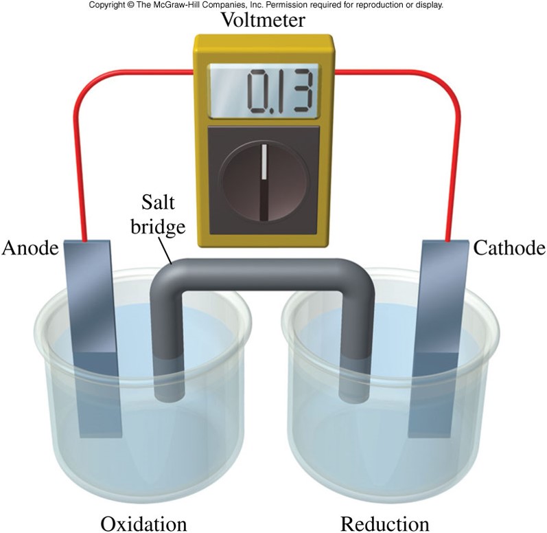 Two side by side beakers: the left one contains a metal strip called the anode and the right one contains a metal strip called the cathode. In the left beaker oxidation occures while in the right beaker reduction occurs. Connecting the anode and cathode with a wire allows electricity to flow. A salt bridge also connects the two solutions.