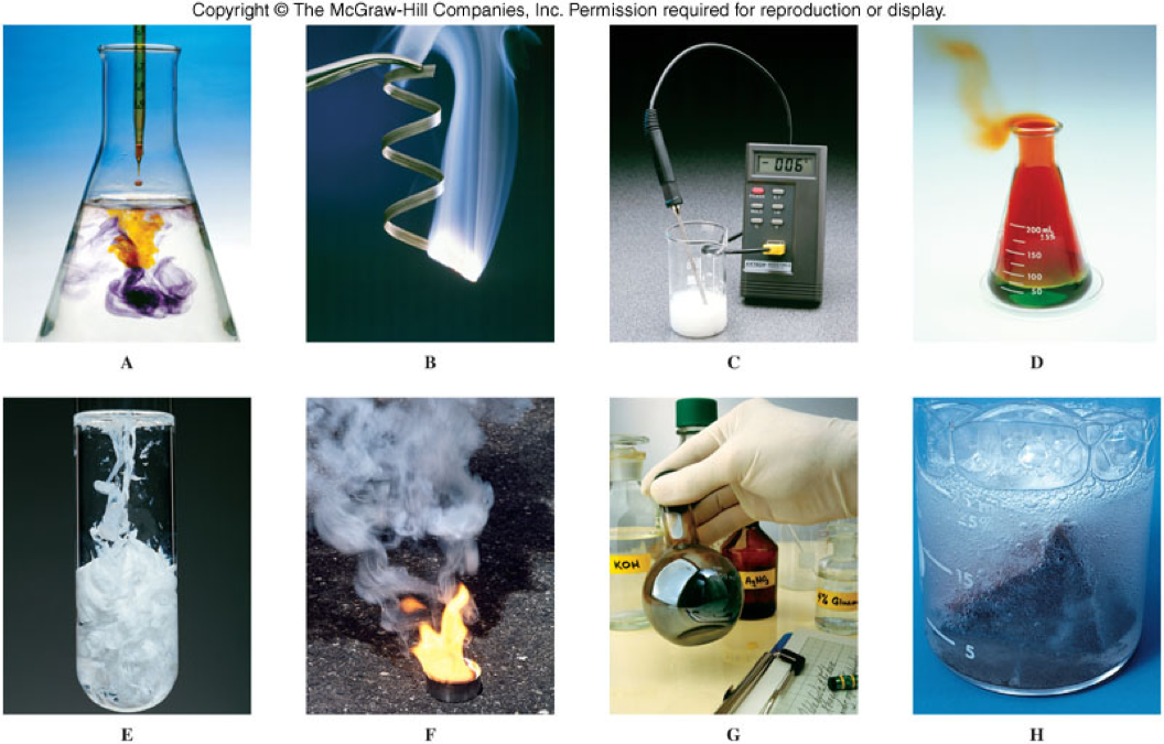 Pictures of various situations used to illustrate chemical reaction vs not chemical reactions.