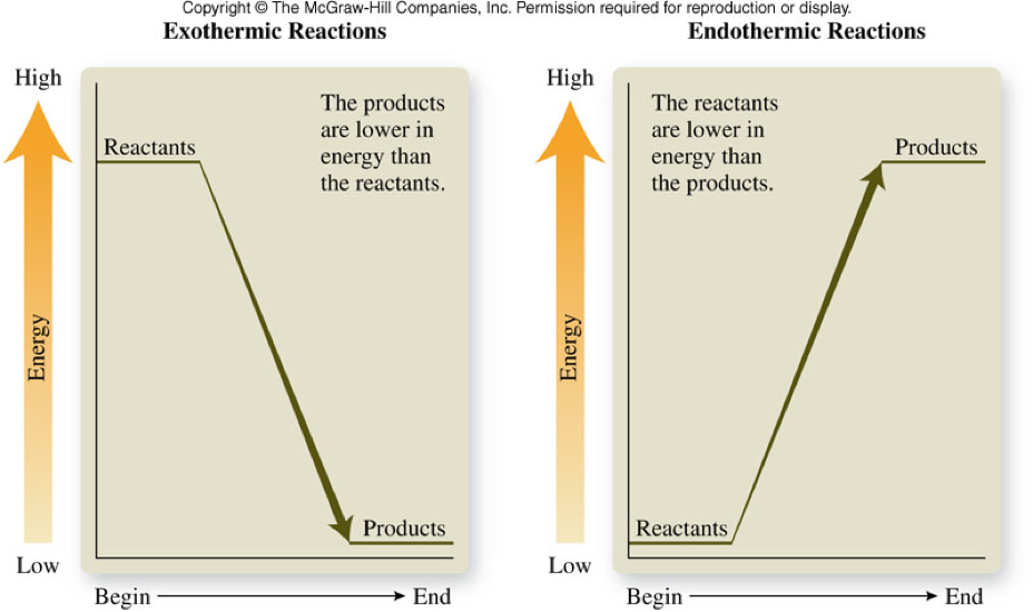 A graphic of the energy change for a exothermic reaction and an endothermic reaction.