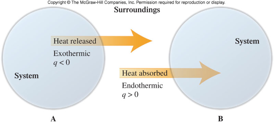 A graphic showing heat leaving a system for exothermic reactions and heat entering a system for endothermic reactions.