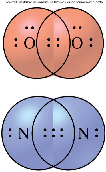 A graphic showing the atoms in O2 sharing four electrons (double bond) and the atoms in N2 sharing six electrons (triple bond).