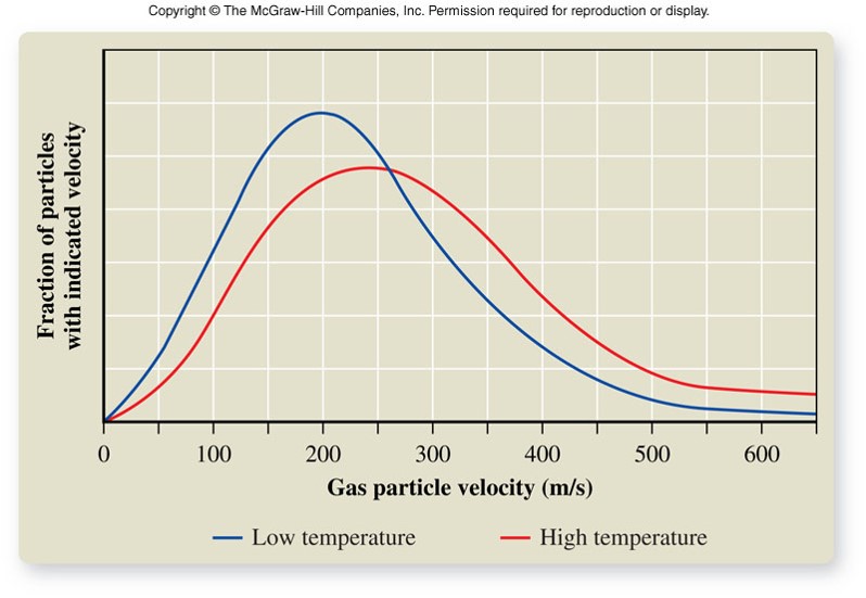 Plots of the velocities of gas particles at two different temperatures. At the hotter temperature the curve has broadened out and shifted to higher velocities.