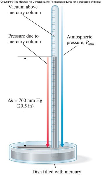 An image of a barometer showing air pressure pushing the mercury up the glass tube.