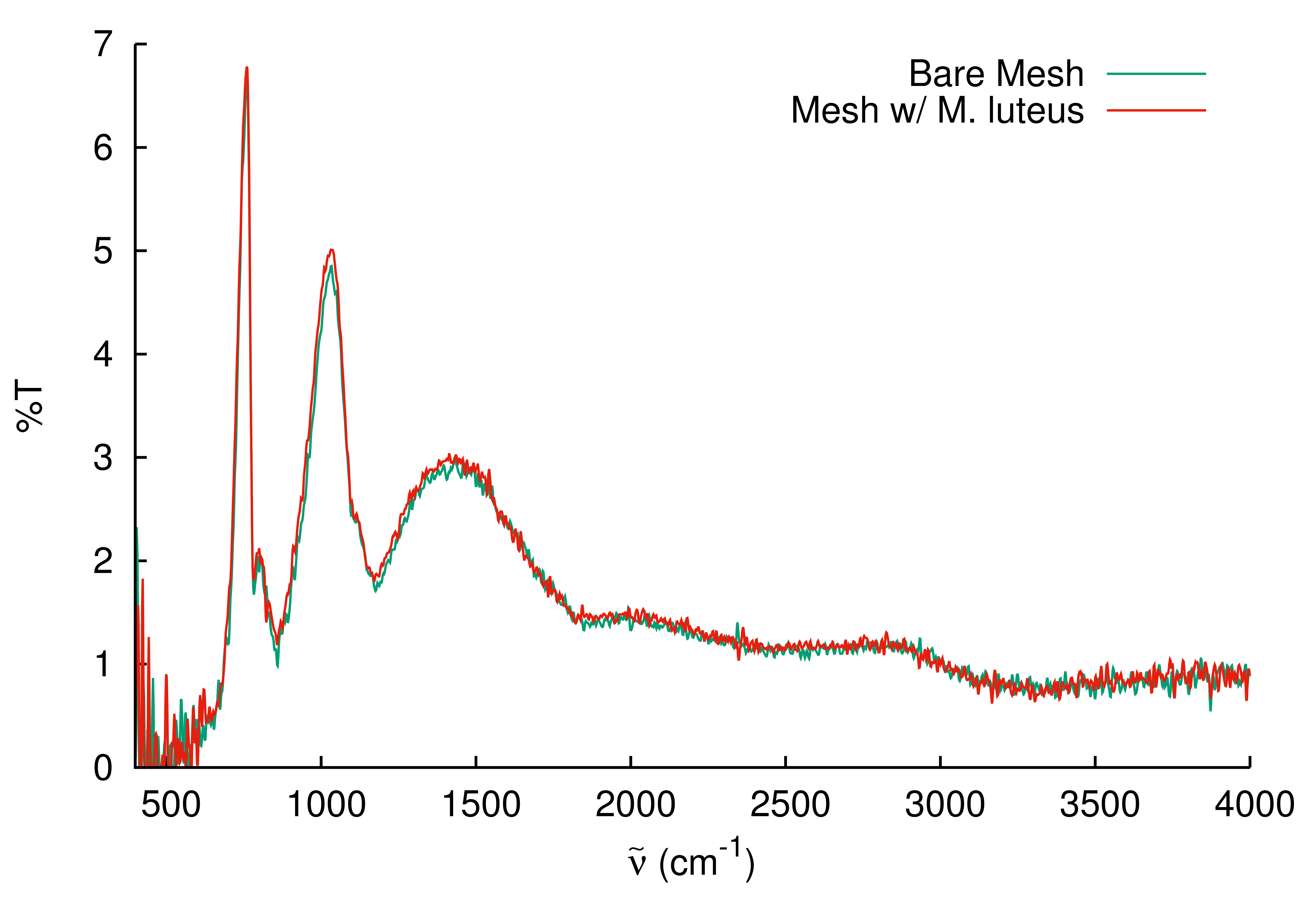 Transmission spectrum of a mesh with and without M. luteus.