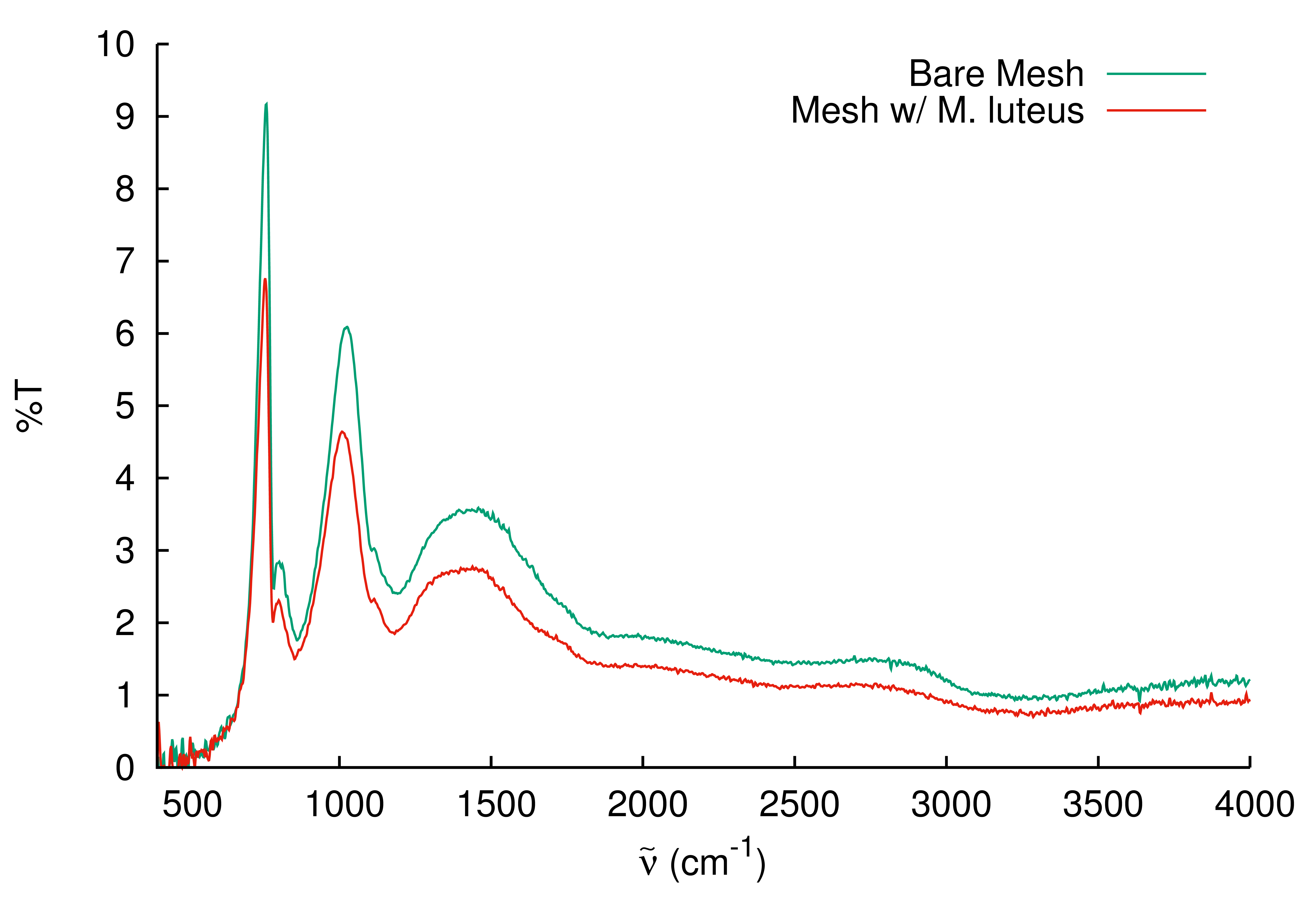 Transmission spectrum of a mesh with and without M. luteus.