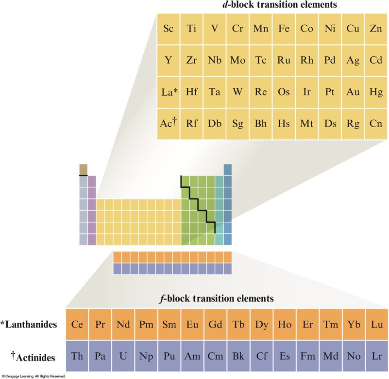 The transition elements are located between the main group elements (between columns 2 and 13) as well as the inner transition elements located at the bottom of the periodic table.
