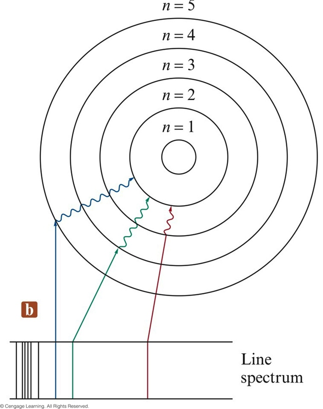 The first five orbits of the hydrogen atom (per the Bohr model) and the electron transition between the 5-to-2, 4-to-2, and 3-to-2 which are responsible for the blue line, green line, and red line in the hydrogen line spectrum.