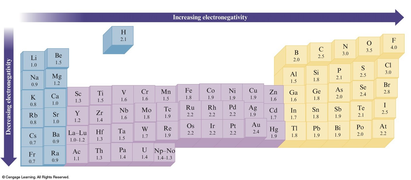 The trends in electronegativity values is that electronegativities decrease down the periodic table and they increase from left to right.