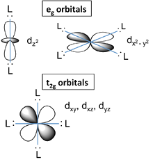 Diagrams of the five d-oribitals as described on the previous slide.